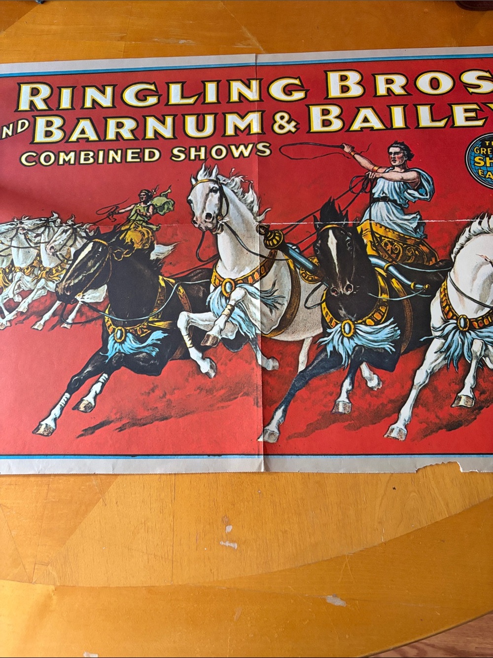 Red Equestrian Poster - Picture 4 of 10